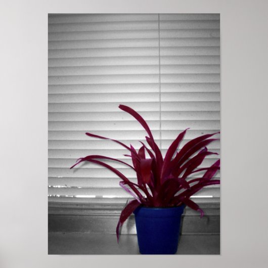 Het Paarse Plant Poster (Voorkant)