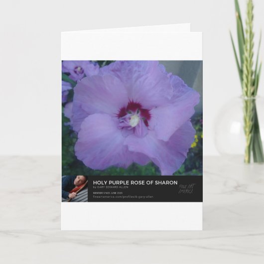 Het Paarse Roos van Sharon Kaart (Voorkant)
