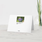 Het paarse Wenskaart van het Nieuwjaar van Feestdagen Kaart (Achterkant)