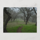 Het pad briefkaart (Voorkant)