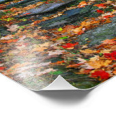 Het pad foto afdruk (Hoek)