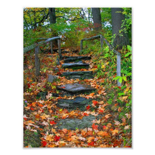 Het pad foto afdruk (Voorkant)