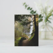 Het pad naar het Briefkaart van Latourell Herfsten (Staand voorkant)