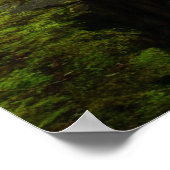 Het pad naar het Poster van Latourell Herfsten (Hoek)