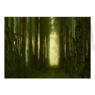 Het pad naar mijn hart