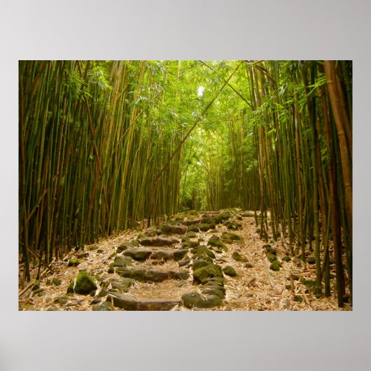 Het pad poster (Voorkant)