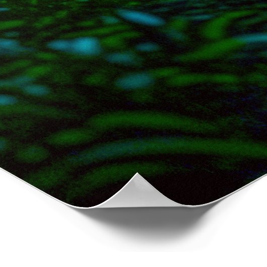 Het pad van innerlijke meesterschap: omarm eenzaam poster (Hoek)