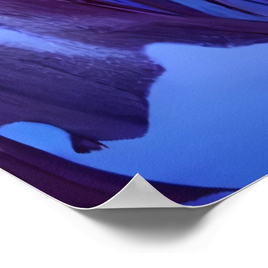 Het paddenstoelbos, nacht, maan, sneeuw | AI Art. Poster (Hoek)