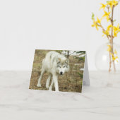 Het Pak van de zaagtand: Wolven van de Kaart van (Gele Bloem)