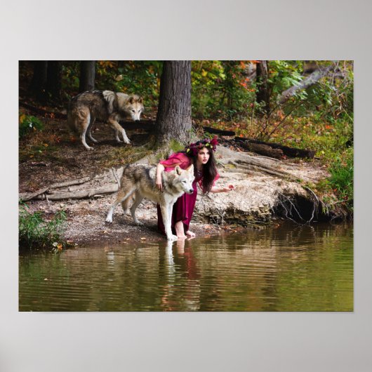 Het pakket poster (Voorkant)