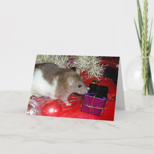 Het Pakket van de vink Feestdagen Kaart (Voorkant)