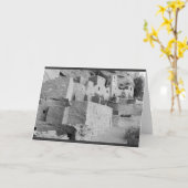 Het Paleis van de klip, het Nationale Park van Kaart (Gele Bloem)