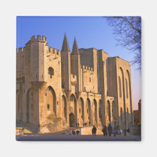 Het paleis van de paus in Avignon met mensen Magneet