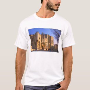 Het paleis van de paus in Avignon met mensen T-shirt