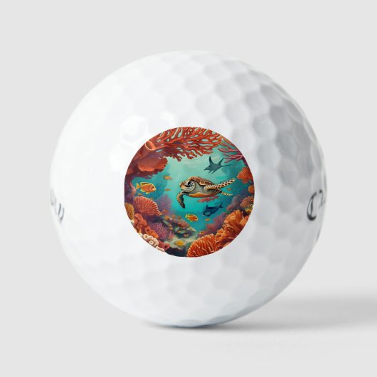 Het palet van de oceaan golfballen (Voorkant)