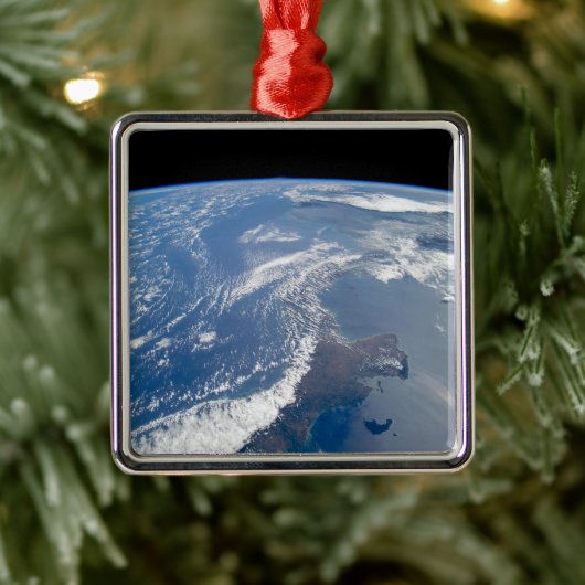 Het Panamakanaal Metalen Ornament (Boom)