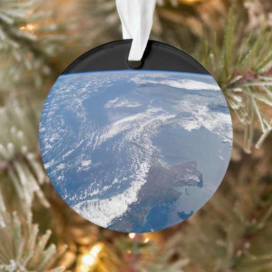 Het Panamakanaal Ornament (Boom)