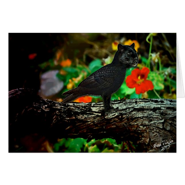 Het Panthraven (Voorkant Horizontaal)