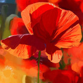 Het papaverhuis - olieverfschilderij foto afdruk