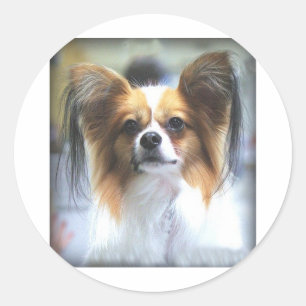 Het PAPILLON Ronde Sticker