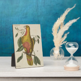 "Het paradepaardje" Fotoplaat