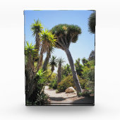 Het park Cactus Garden Balboa Fotoblokken (Voorkant)