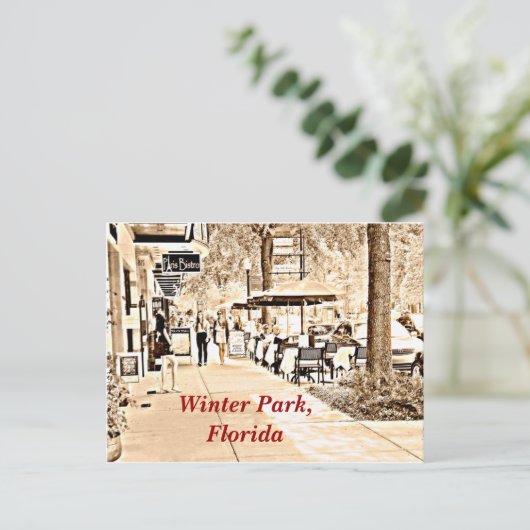 Het Park Florida van de winter - Briefkaart (Staand voorkant)