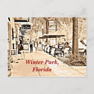 Het Park Florida van de winter - Briefkaart