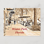 Het Park Florida van de winter - Briefkaart (Voorkant)