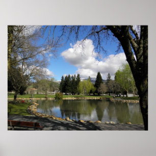 Het park na het Storm Poster