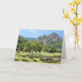 Het Park van de Staat van de Kreek van Malibu Kaart (Gele Bloem)