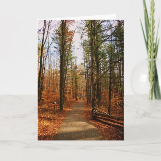 Het Park van de Staat van de Pijnbomen van Kaart (Voorkant)