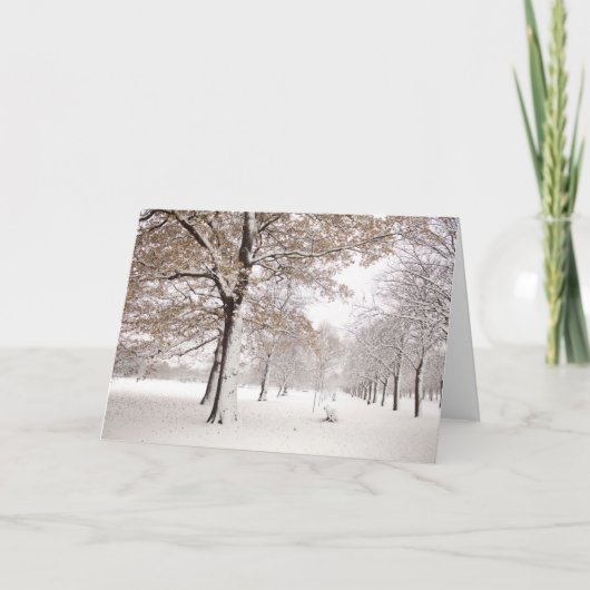 Het Park van Greenwich in de winter Feestdagen Kaart (Voorkant)