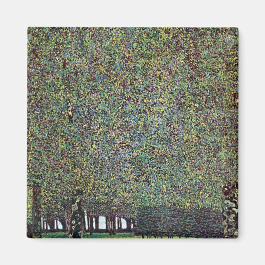 Het park van Gustav Klimt Magneet (Voorkant)