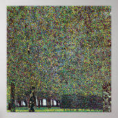 Het park van Gustav Klimt Poster (Voorkant)
