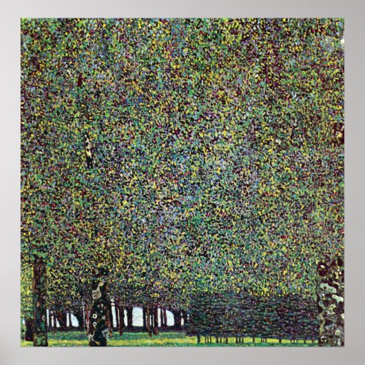 Het park van Gustav Klimt Poster (Voorkant)
