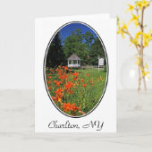 Het Park van Hawley, Charlton, NY Wenskaart Kaart (Gele Bloem)