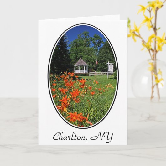 Het Park van Hawley, Charlton, NY Wenskaart Kaart (Gele Bloem)