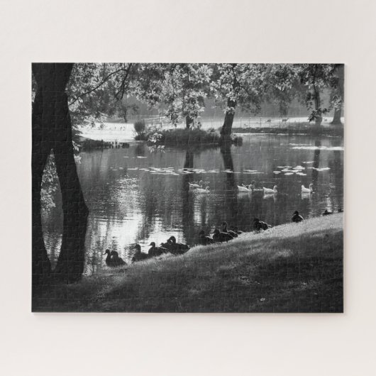 Het Parkleven 16x20 520pc jpcnm Legpuzzel (Horizontaal)