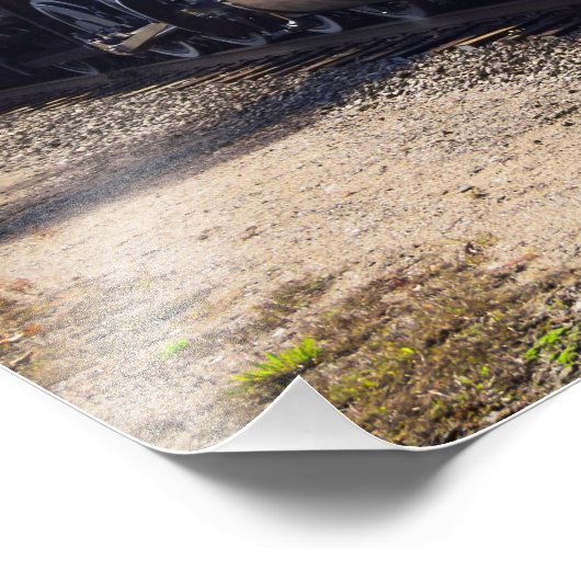 Het passeren door Chester Foto Afdruk (Hoek)