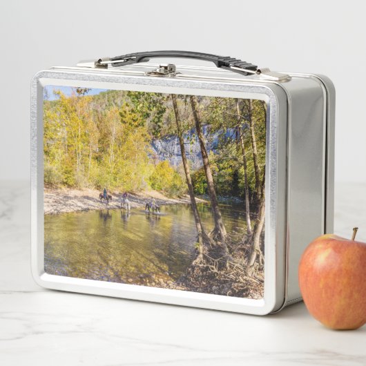 Het passeren van de buffalo rivierlunchbox (In situ)