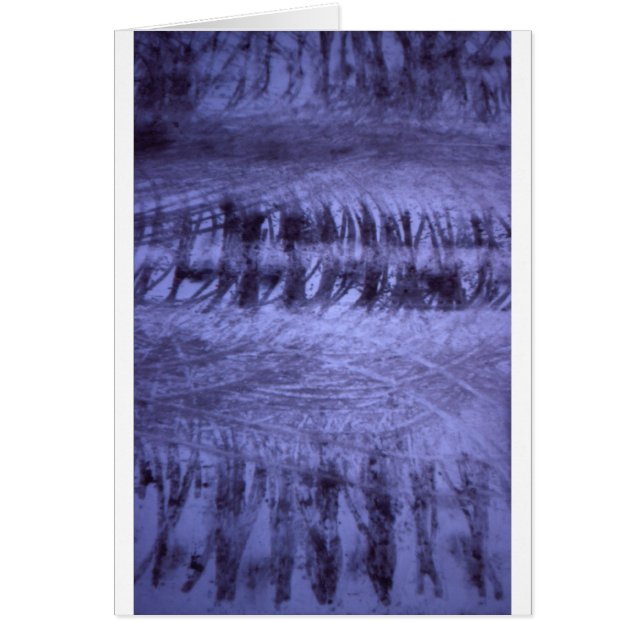 Het Patroon van de Partij na Sneeuw parkeren (Voorkant)