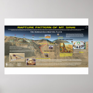 Het patroon van de verkrachting - Mt. Sinai Poster