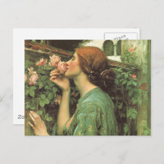 Het percentage Rozen Briefkaart (Voorkant / Achterkant)