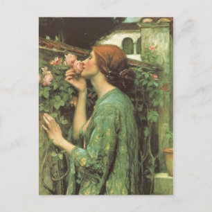 Het percentage Rozen Briefkaart