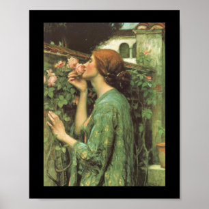 Het percentage Rozen Poster