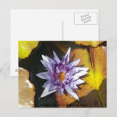 Het Perfect Flower Briefkaart (Voorkant / Achterkant)