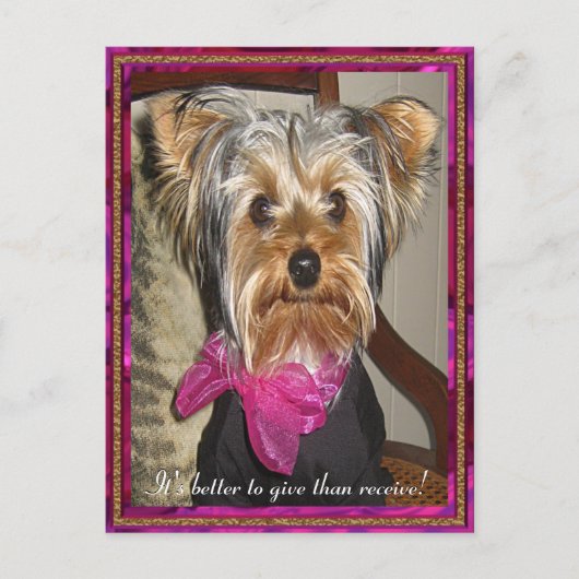 Het perfecte cadeau briefkaart (Voorkant)