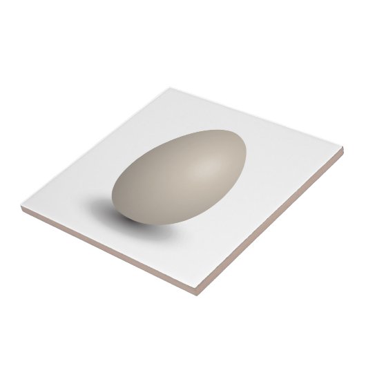 het perfecte ei tegeltje (Zijkant)