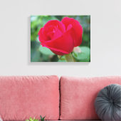 Het perfecte Roos! Canvas Afdruk (Insitu (Woonkamer))